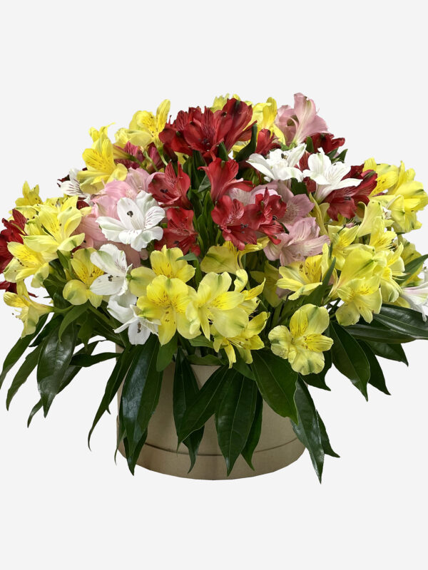 Colorful Alstroemeria Hat Box